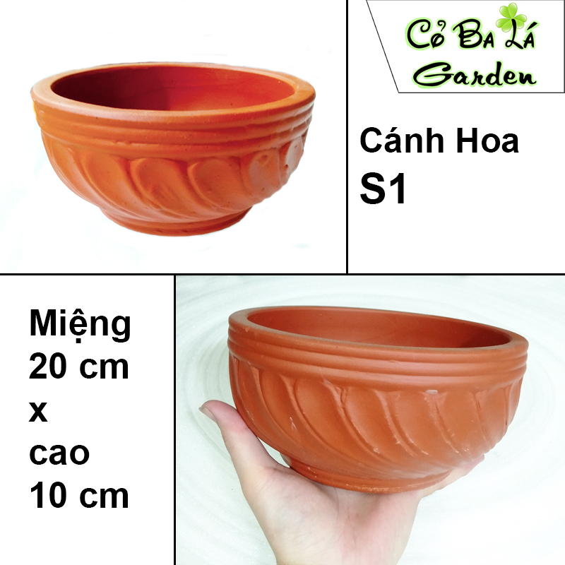 Chậu đất nung trồng sen đá,cây mini để bàn,bộ đất nung 3 size