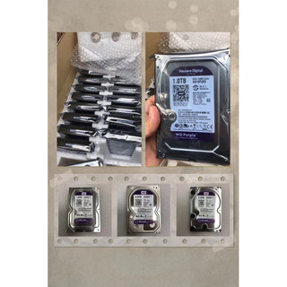 Ổ cứng western purple 1tb / 2tb / 3tb / 4tb nhập khẩu