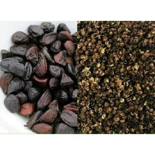 Mắc khén rừng, hạt dổi nếp thơm