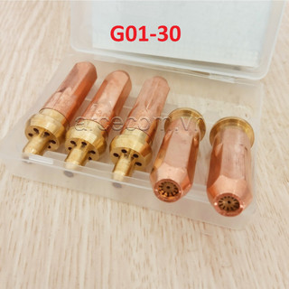 Hộp 5 cái bép cắt hơi tiểu G01-30 - Bép cắt gió đá G01-30 số 1-2-3