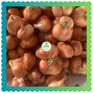 Combo 2 kg hành củ kinh môn hải dương - 2 túi/1kg