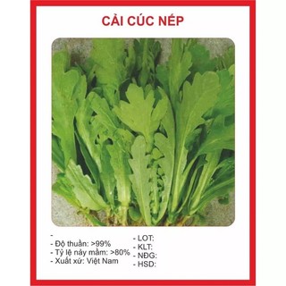 Hạt giống cải cúc nếp cao sản 20gr