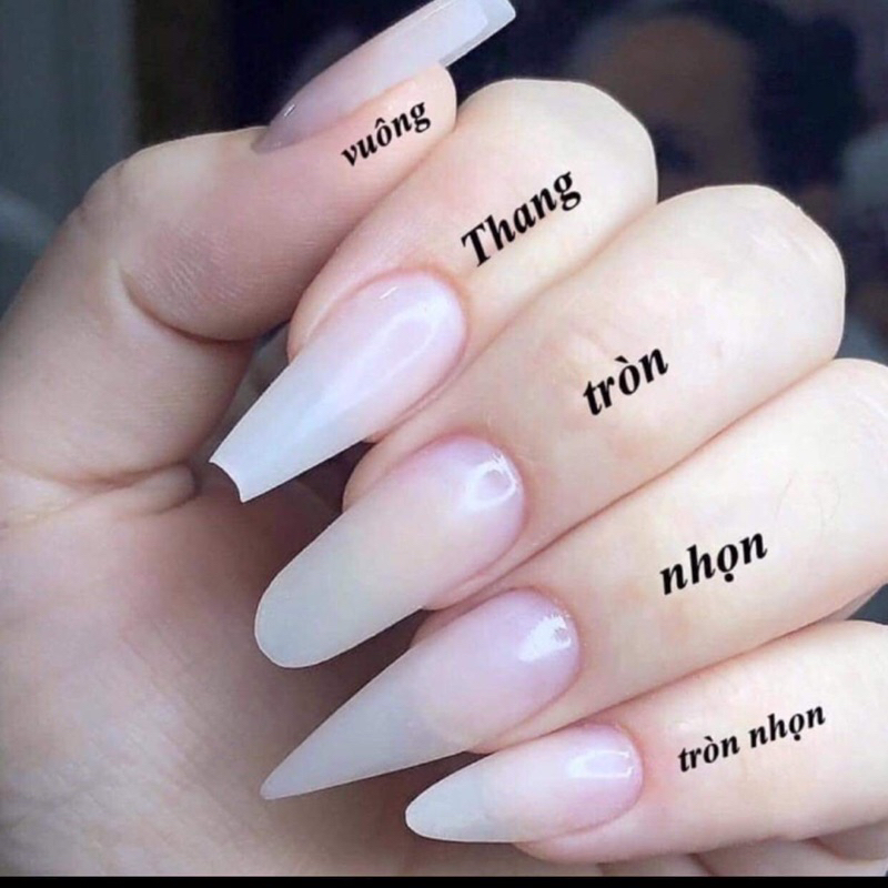 Nail box thiết kế Tím Dịu Dàng 🙈