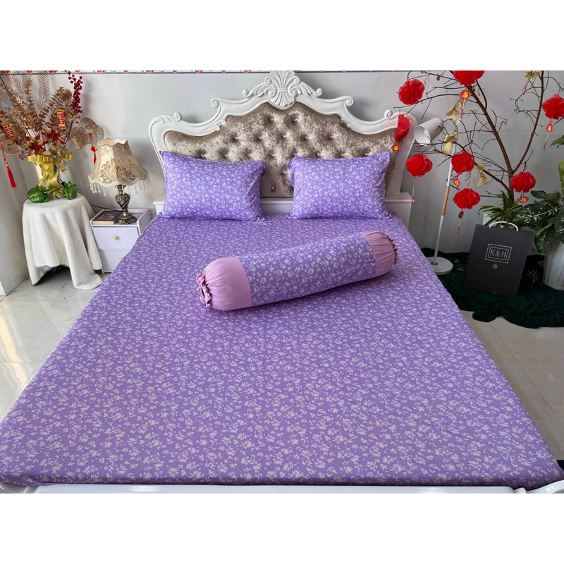 Bộ drap thun hàn quốc 4 món mát mịn
