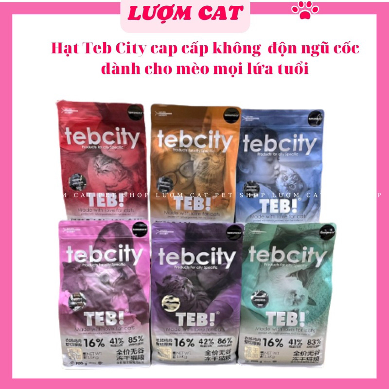 Hạt TebCity (Gói 1kg chiết) mix topping Gà Sấy cho Mèo mọi lứa tuổi, hàm lượng đạm cao,không độn ngũ cốc