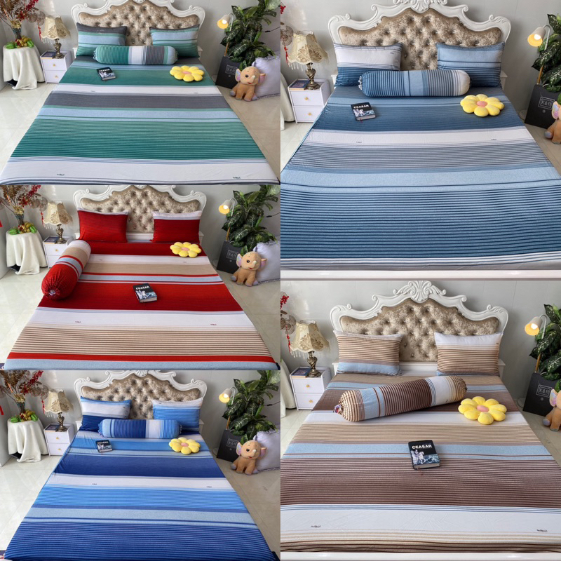 Bộ drap thun hàn quốc 4 món mát mịn