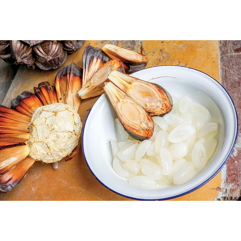 Cây giống dừa nước, trồng giư bờ chống sạt lở, ăn ngon như hạt đác