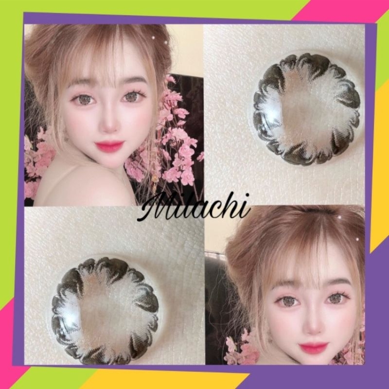 Lens hoa xám pudding grag giãn tròng 14.5mm 0 độ kèm khay đơn