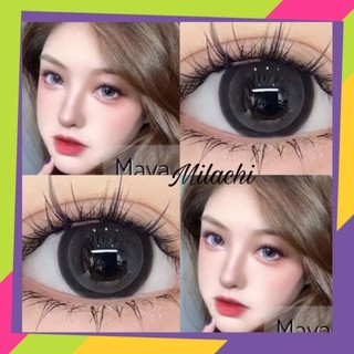 Lens xám viền đen sakura tự nhiên to tròn 0 độ kèm khay đơn
