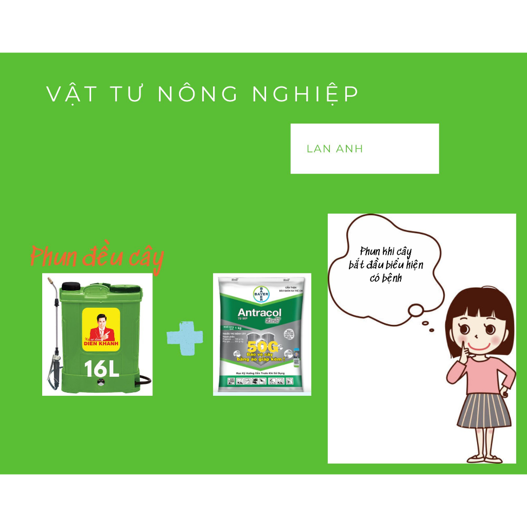 Thuốc diệt nấm bệnh ANTRACOL 70WP chuyên trị vàng lá