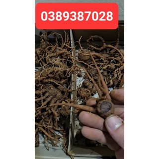 Củ ngải đen Thái lan,100g