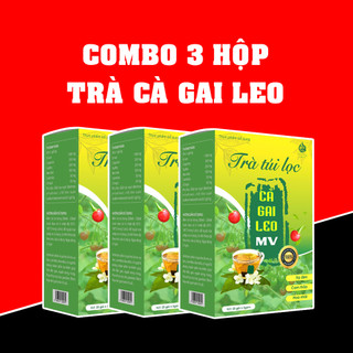 Combo 3 hộp trà túi lọc cà gai leo giải độc gan, hỗ trợ men gan