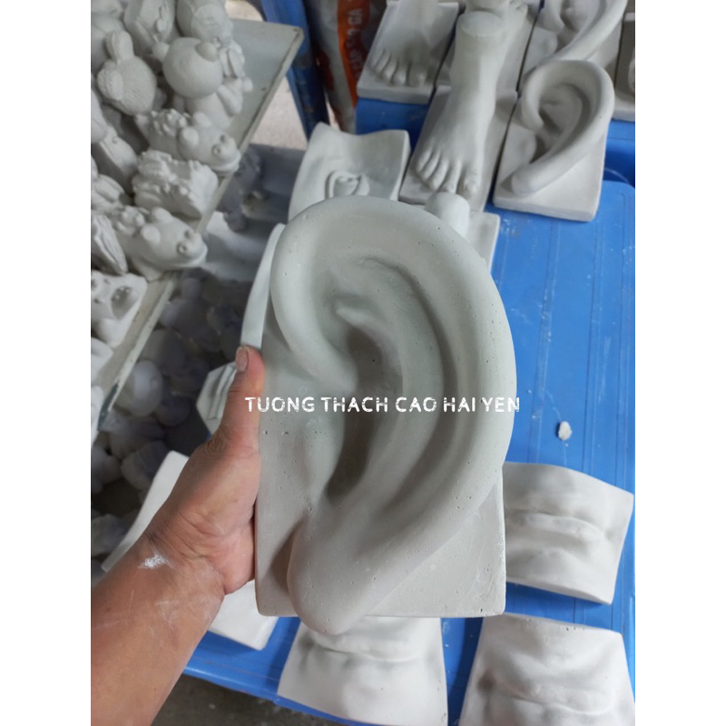 Khối Thạch Cao Hình Tai