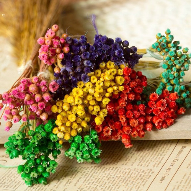 Hoa khô mini - Hoa Hạnh Phúc trang trí decor nhà cửa, phụ kiện chụp ảnh, quà tặng handmade