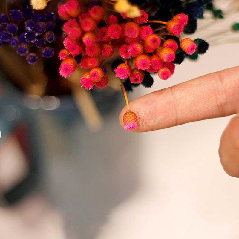 Hoa khô mini - Hoa Hạnh Phúc trang trí decor nhà cửa, phụ kiện chụp ảnh, quà tặng handmade