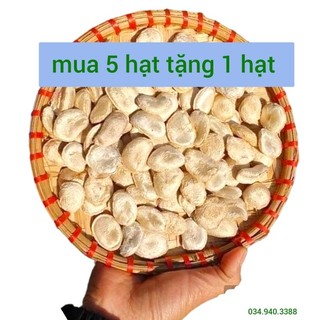 Hạt sang, sành chữa đau dạ dày, đi ngoài, phân lỏng, khó tiêu