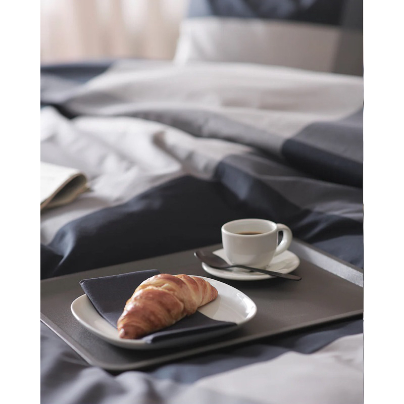 Khay 37x29 TILLGÅNG IKEA chính hãng