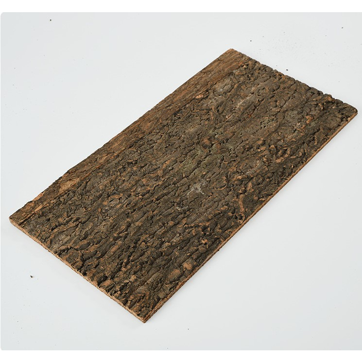 Trang trí chuồng nuôi background vỏ thân cây gỗ tự nhiên thật ép 2 lớp cho bò sát, động vật nhỏ, đẹp tự nhiên