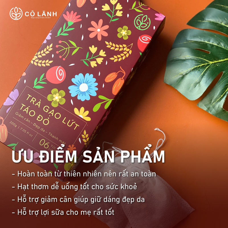 Trà gạo lứt táo đỏ giảm cân, thanh lọ cơ thể Cỏ Lành