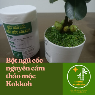 Bột ngũ cốc thảo mộc kokkoh 500g