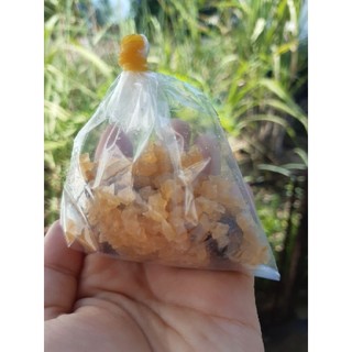 nấm nước kefir,phần 20gr