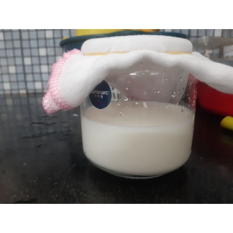 Men sữa chua  khô viili thuần chay