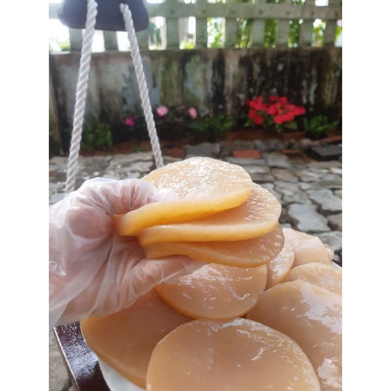Jun kombucha ( champagne của kombucha)
