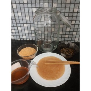 Jun kombucha ( champagne của kombucha)