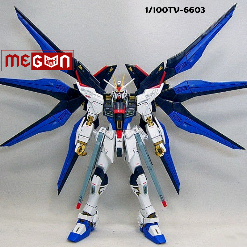 Mô hình lắp ráp xếp hình HG 1/100TV Strike Freedom mô hình Megun