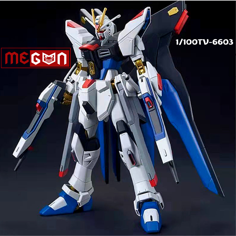Mô hình lắp ráp xếp hình HG 1/100TV Strike Freedom mô hình Megun