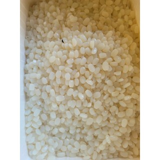 Hạt đác tươi sạch size trung dẻo 1kg