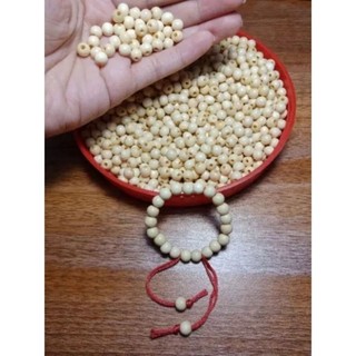 100 hạt dâu tằm