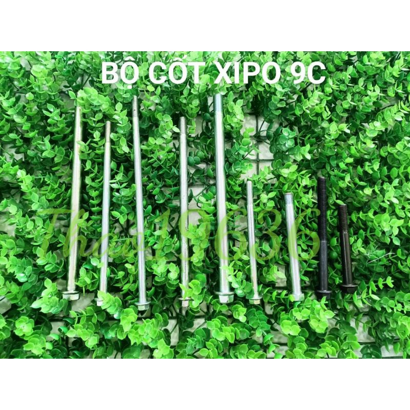 Bộ cốt Xipo ( full 9 cây )