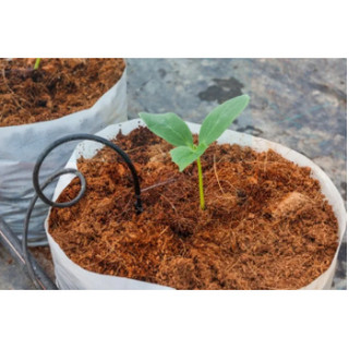 Mụn xơ dừa đã qua xử lý , dùng trồng rau mầm, rau, củ, quả, cây, trộn đất cung cấp mùn cho đất