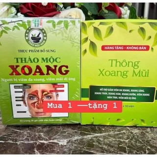 Mẫu mới bộ đôi xoang thảo mộc nam