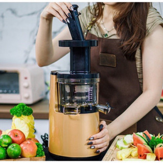 Máy ép chậm PROMIX SJ-06