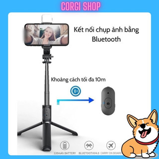 Gậy chụp ảnh tự sướng q07, gậy tự sướng 3 chân đa năng xoay 360 độ