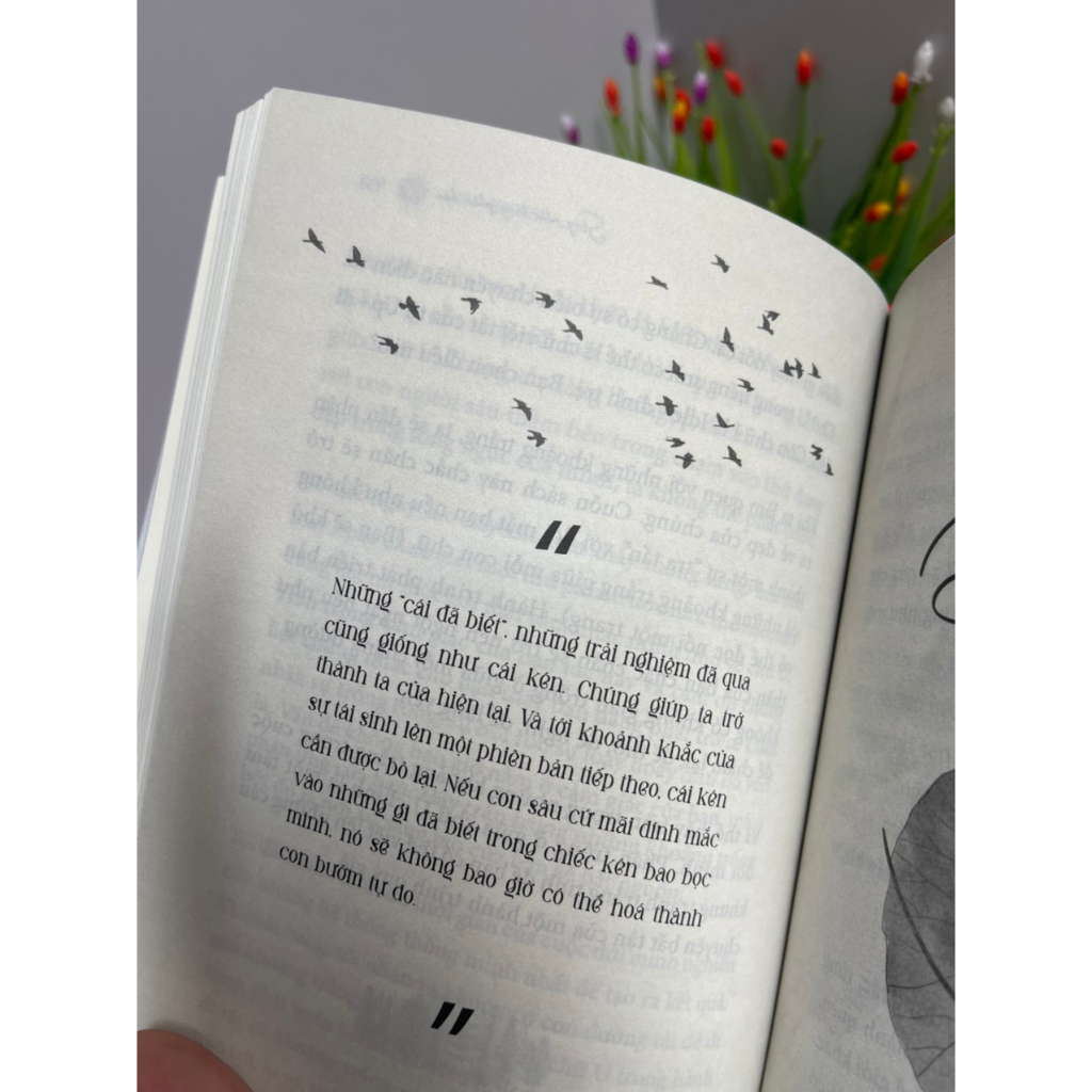 Sách_ (Bìa cứng) Sống như bông pháo hoa – Hành trình khám phá điều quý giá nhất cuộc đời –Thái Hà- NXB Hà Nội