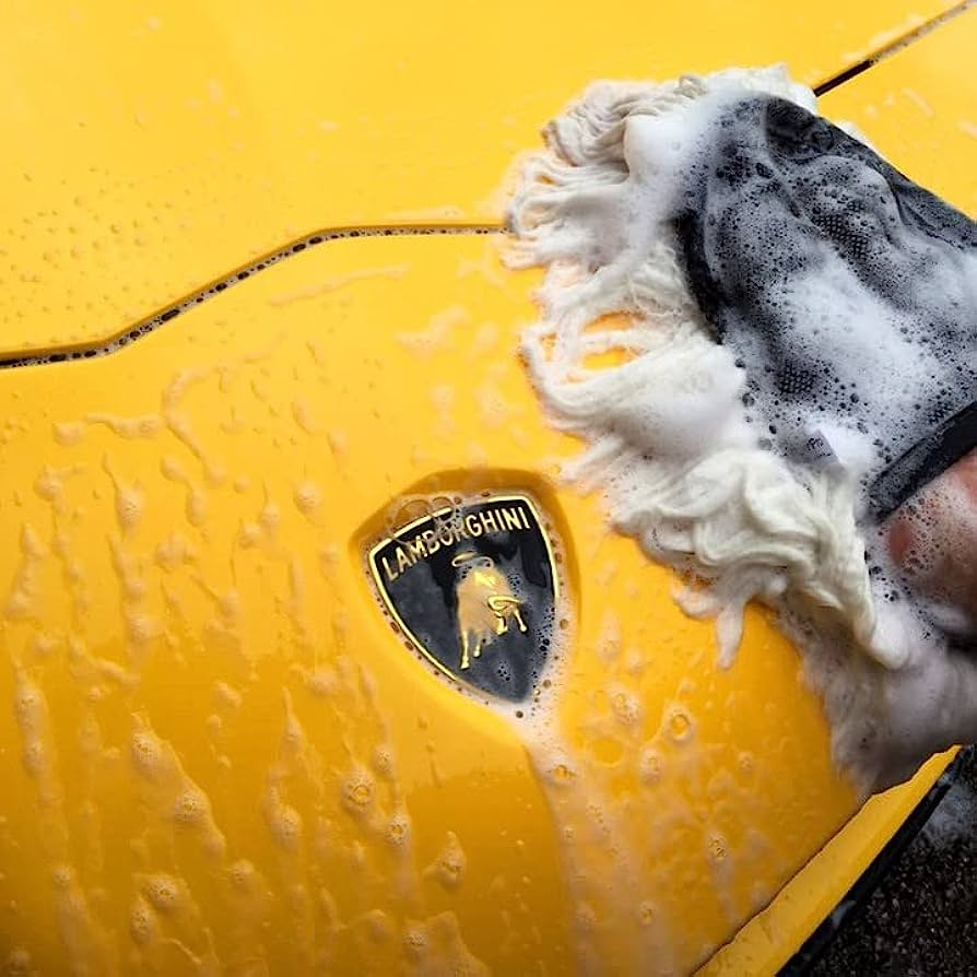 Găng Tay Rửa Xe Lông Cừu CARPRO 2-Finger Merino Wool Wash Mitt chính hãng Hàn Quốc