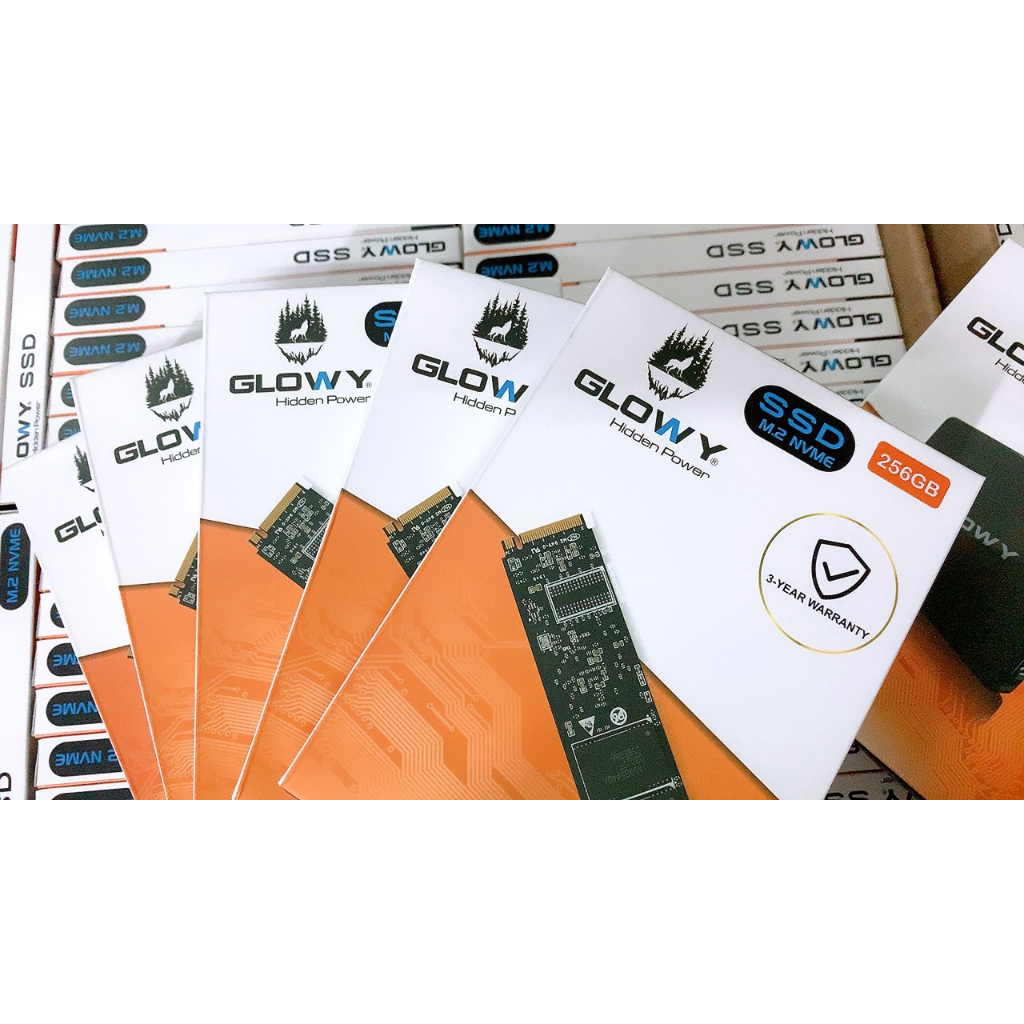 Ổ cứng SSD Glowy M.2 NVME 256GB | 1700MB/S | 2100MS/S- Chính hãng - Bảo hành 3 năm