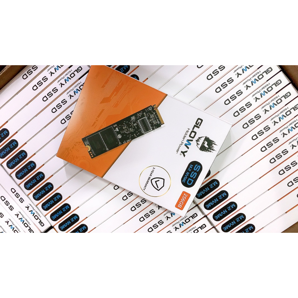 Ổ cứng SSD Glowy M.2 NVME 256GB | 1700MB/S | 2100MS/S- Chính hãng - Bảo hành 3 năm