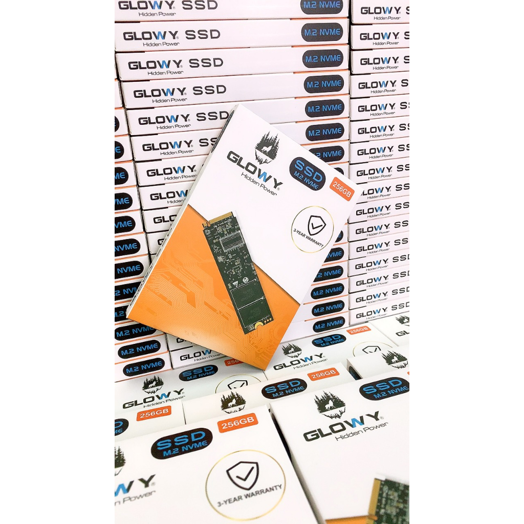 Ổ cứng SSD Glowy M.2 NVME 256GB | 1700MB/S | 2100MS/S- Chính hãng - Bảo hành 3 năm