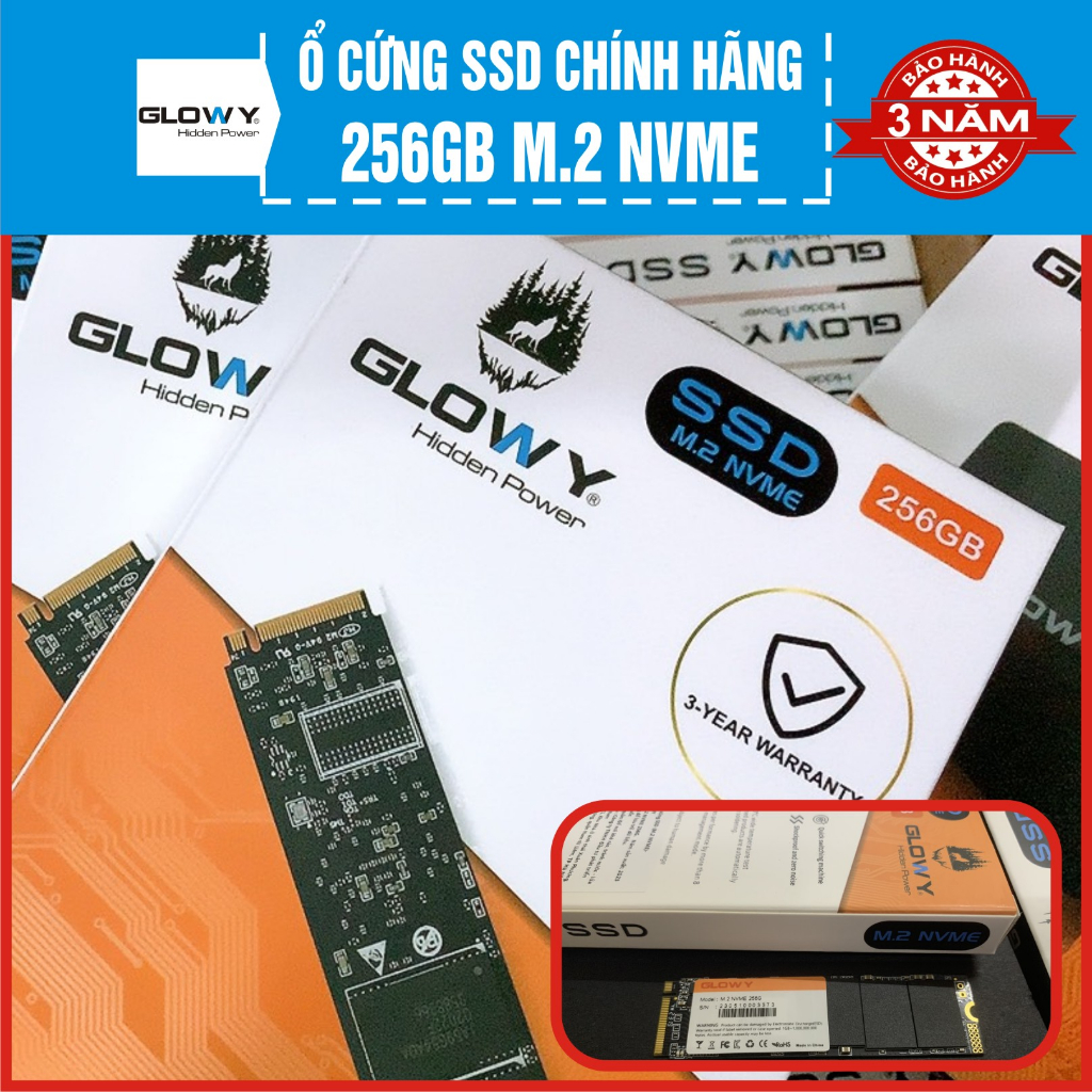 Ổ cứng SSD Glowy M.2 NVME 256GB | 1700MB/S | 2100MS/S- Chính hãng - Bảo hành 3 năm