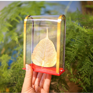 Lá bồ đề thiêng ấn độ - mã: bdt0010