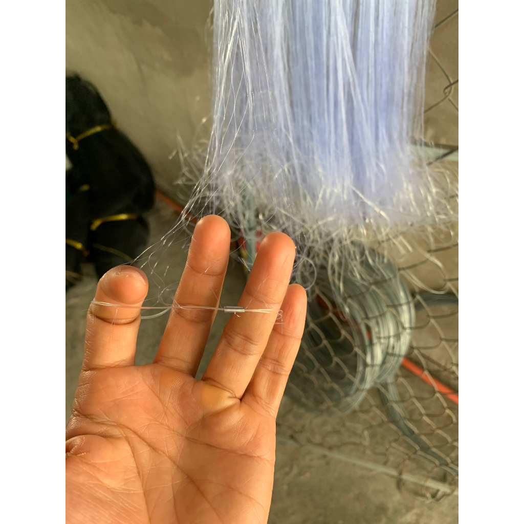 TAY 50M - 100M LƯỚI BÉN CÁ 1 MÀN TỪ 2P5 TỚI 8P