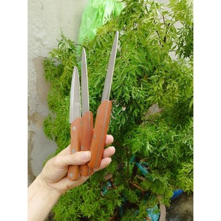 dao gọt trái cây ASAKH JAPAN
