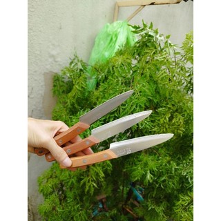 dao gọt trái cây ASAKH JAPAN