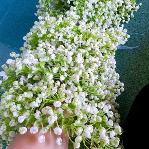 100gr Cỏ điểm hoa Baby  trắng cao cấp đã nhặt sạch dùng trang trí cắm hoa sáp, hoa lụa, làm hoa đội đầu