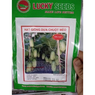 Hạt giống dưa chuột mèo gói 1gr