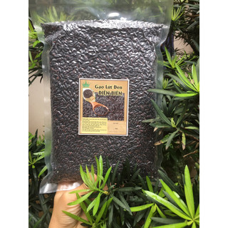 Gạo lứt đen ⚡ĐẶC SẢN ĐIỆN⚡ BIÊN gạo đen lứt than là thực phẩm giàu dinh dưỡng ( 1kg )